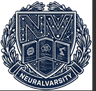 NeuralVarsity Logo